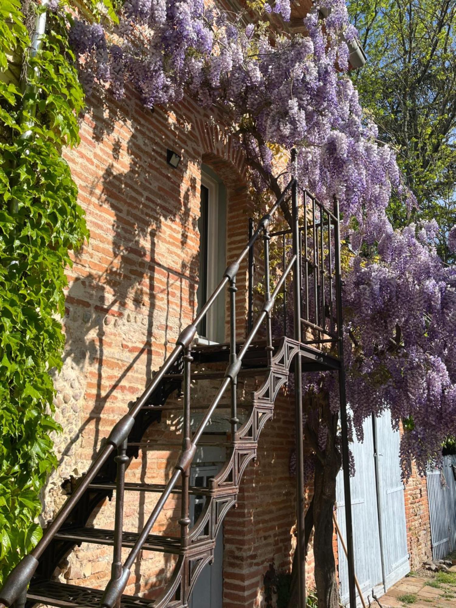 Villa Toscane Creations A 20 Mn De Toulouse Azas Eksteriør billede